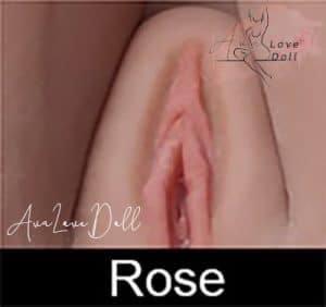 Labia pink color