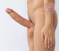 Pénis en érection 25 cm