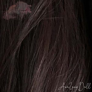 Cheveux marrons - rouges