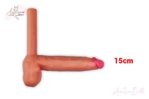 Pénis insérable 15 cm