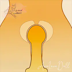 Succion vaginale