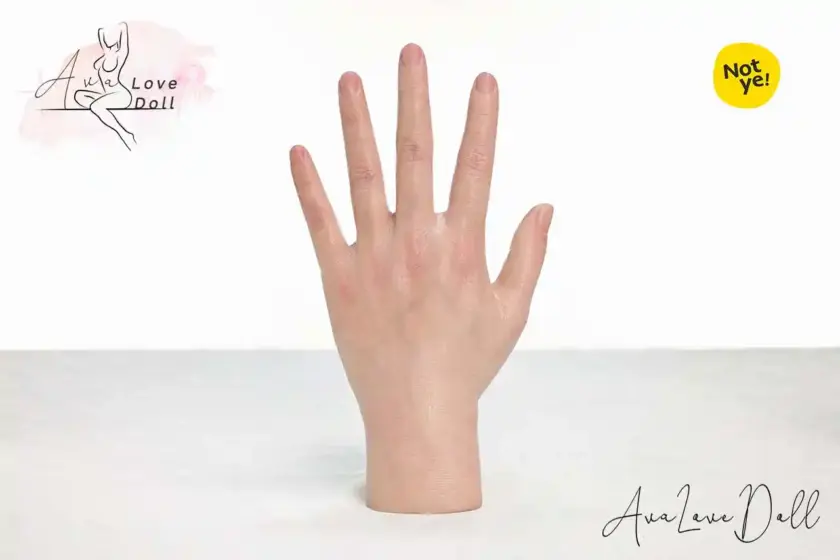 Not Ye! Torso Sexdoll Mains Silicone #S6 | 22 cm – Image 11
